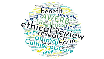 Types of Institutional Ethics Reviews